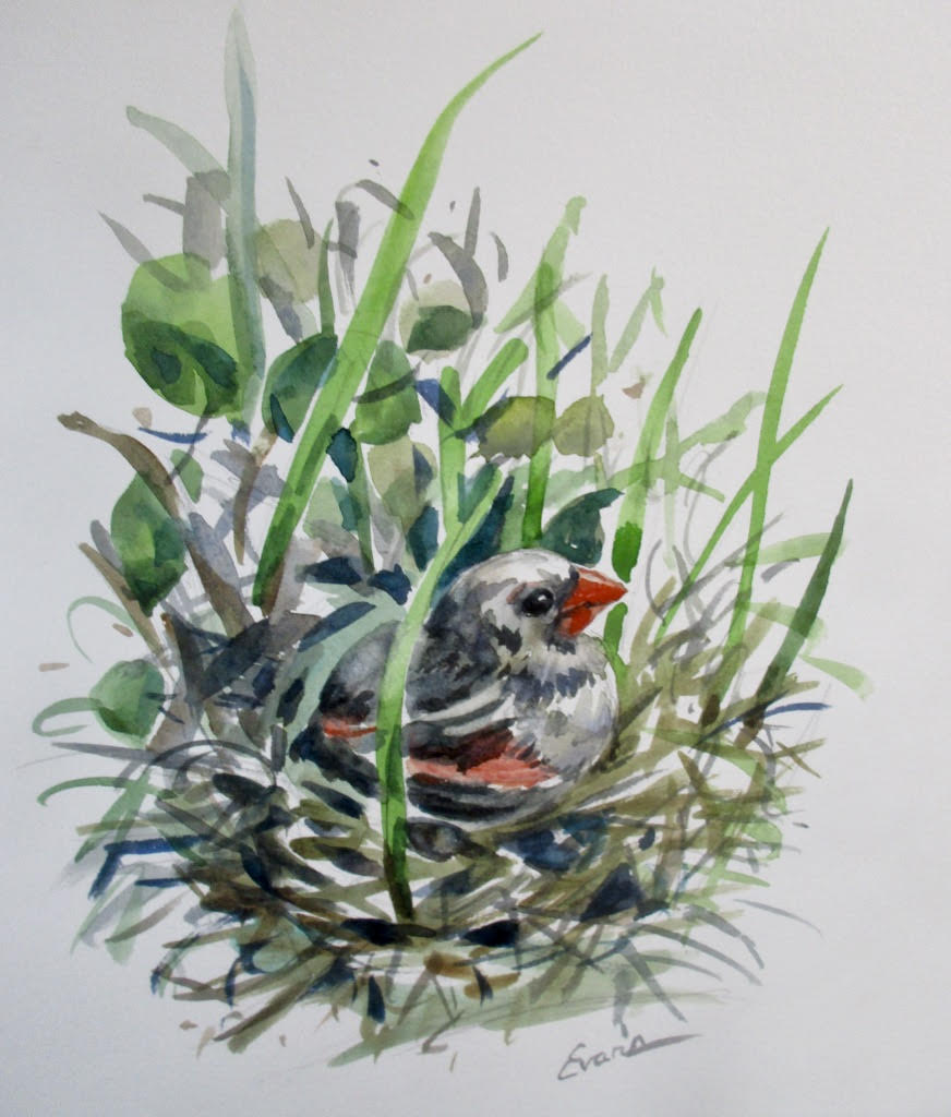 Cardinal Mom, unmatted watercolor, 7"x 9," $75. Painted this very day, my Cardinal Mom was my inspiration.